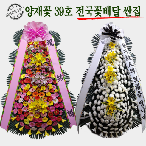 전국꽃배달 가격비교사이트 필수불가결